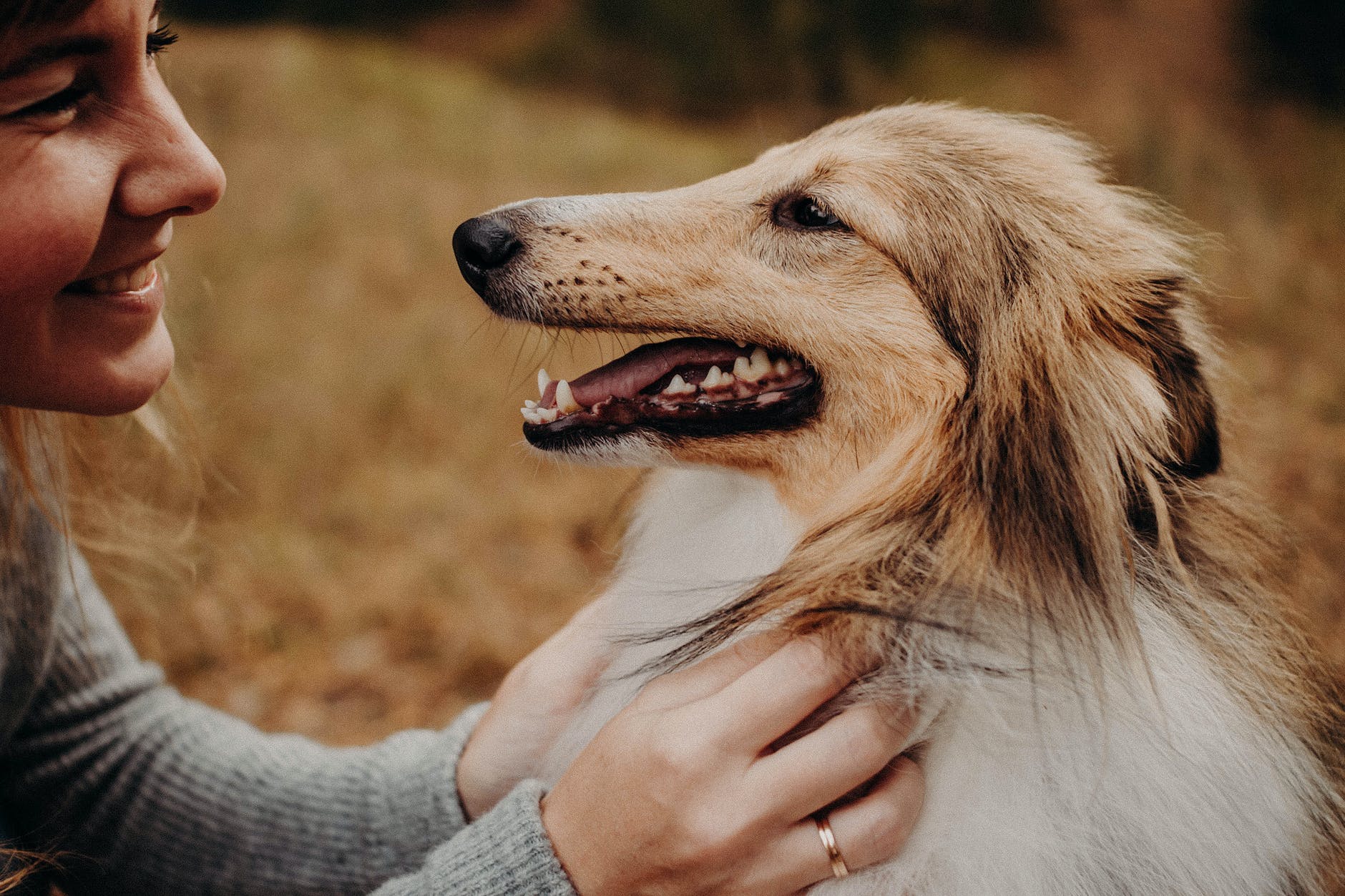 happy woman petting dog in field